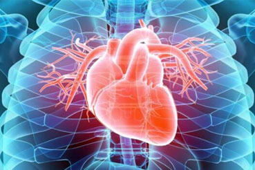 Best Cardiologist in Guntur, Best Paediatrics Hospital in Guntur, Asthma Treatment in Guntur, Low Birth Weight Treatment in Guntur, Treatment for Sepsis in Kids, Best COPD Treatment in Guntur, Vertical Sleeve Gastrectomy Treatment in Guntur, Best Bariatric Surgery Treatment in Guntur, Mini Gastric Bypass Treatment, Roux-En-Y Gastric Bypass Treatment in Guntur, Best Obesity Surgeon in Guntur, Weight Loss Surgery Treatment in Guntur